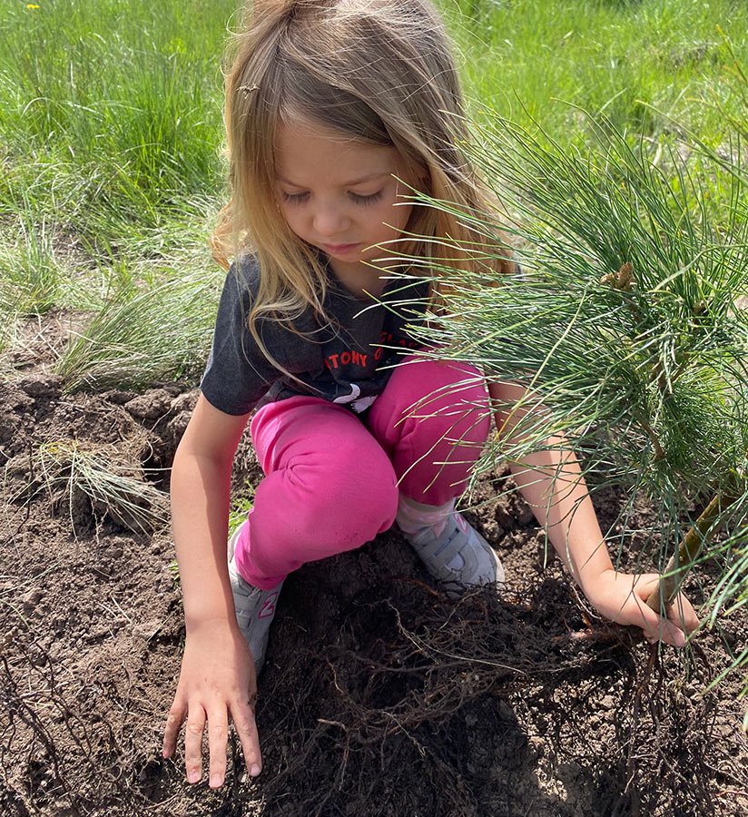 Seas of Trees Planting
